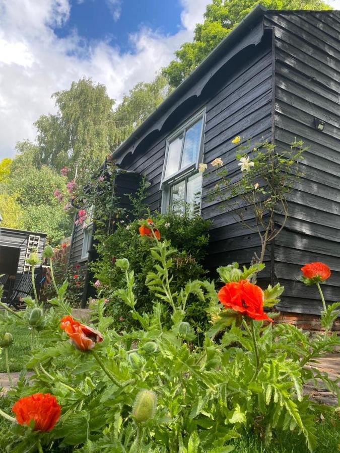 贝弗利汤普森小屋旅馆别墅 外观 照片